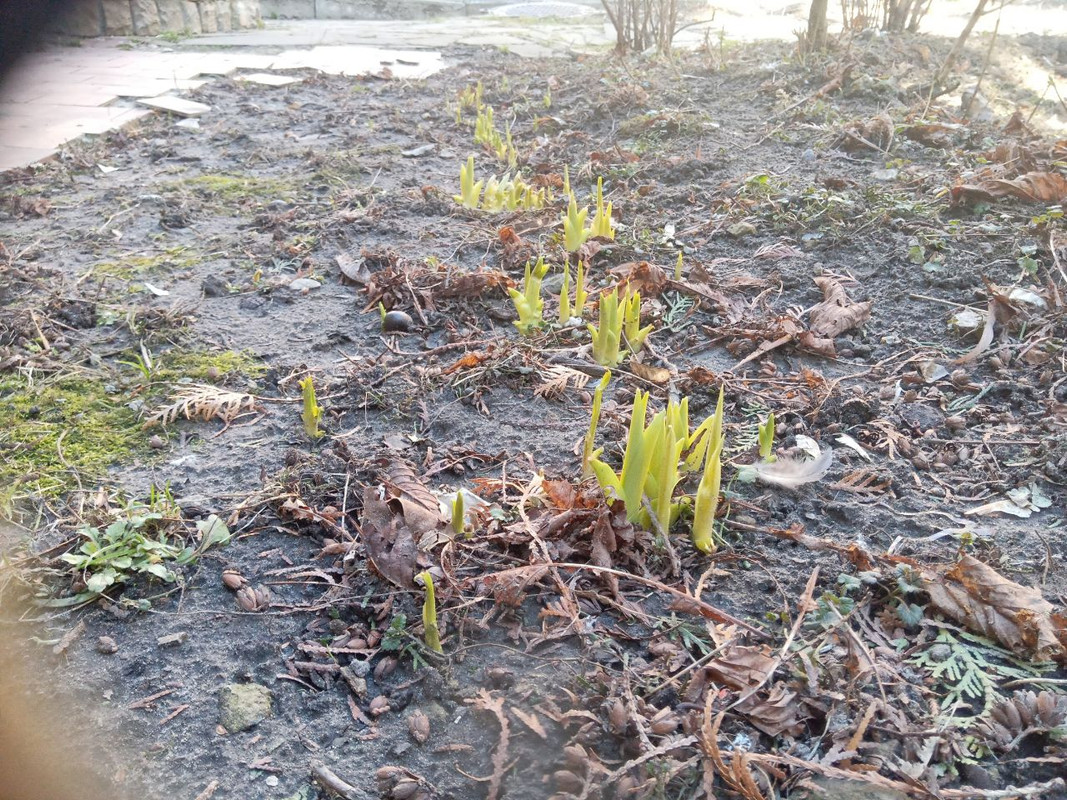 photo_2023-03-02_11-51-04 (2)