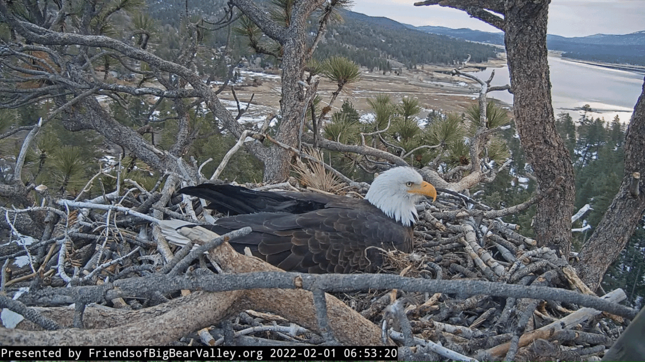 Webp.net-gifmaker (4)