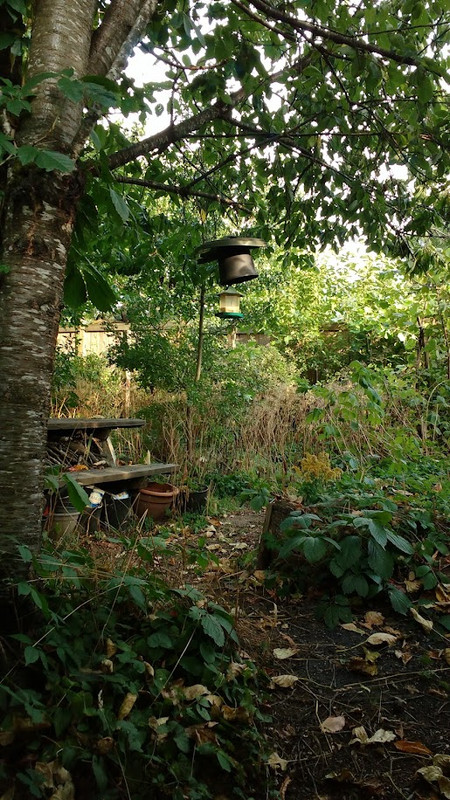 IMG_20250909_173430108