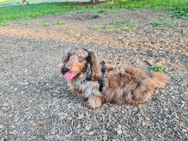 [Image: 292324809-3151464465126549-2346897151406648319-n.jpg]