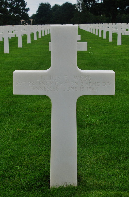 Soldado Julius E. Webb ( 238º Batallón Ingenieros Combate ) KIA 15-06-1944