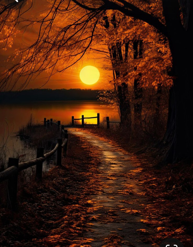 Screenshot_20231217_214123_Pinterest