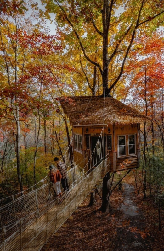 Screenshot_20231113_130641_Pinterest