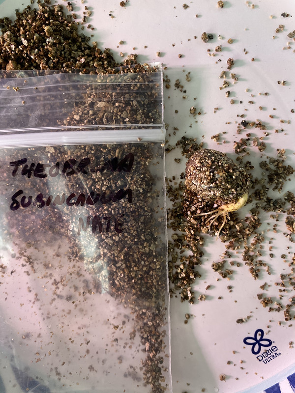 86EC18A7-DA0B-49F4-9453-9DDD5C3CD5E9