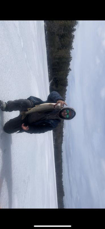 26350A99-73DE-4CA2-A958-AB6DAAAE3E7B