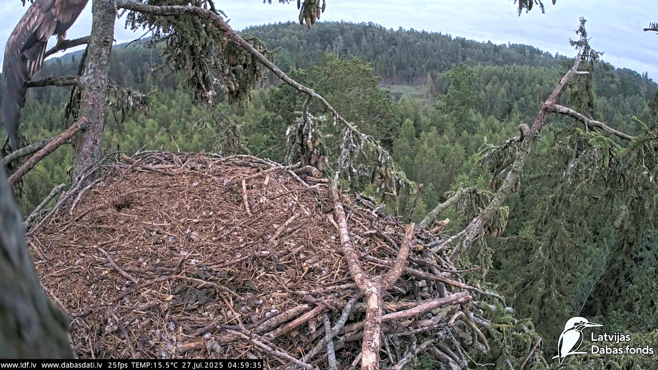 vlcsnap-2025-07-27-04h45m08s468