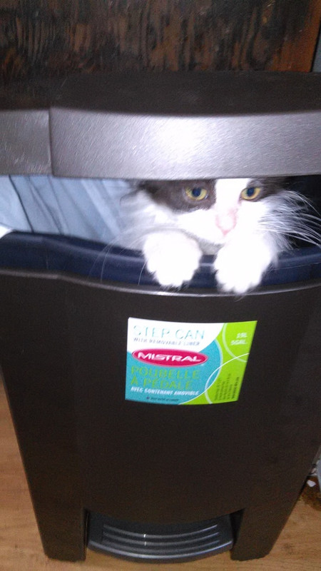 IMG_20141231_150155_zpscld8na4c