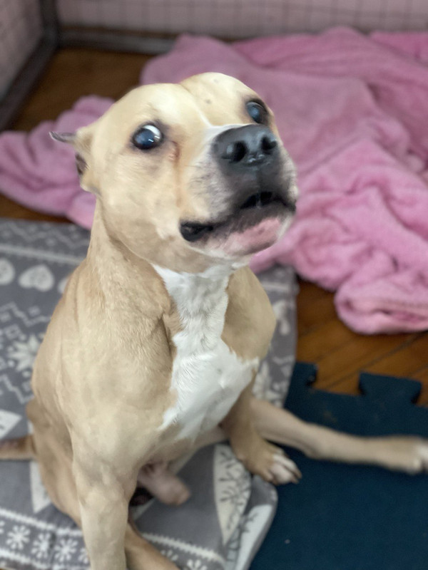 C78C7EBB-FA1D-44C0-B216-E9EF2C770AF2