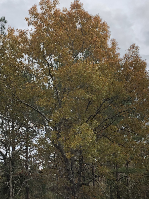 C58E4819-2EF4-4D82-B649-A2650B9BD525