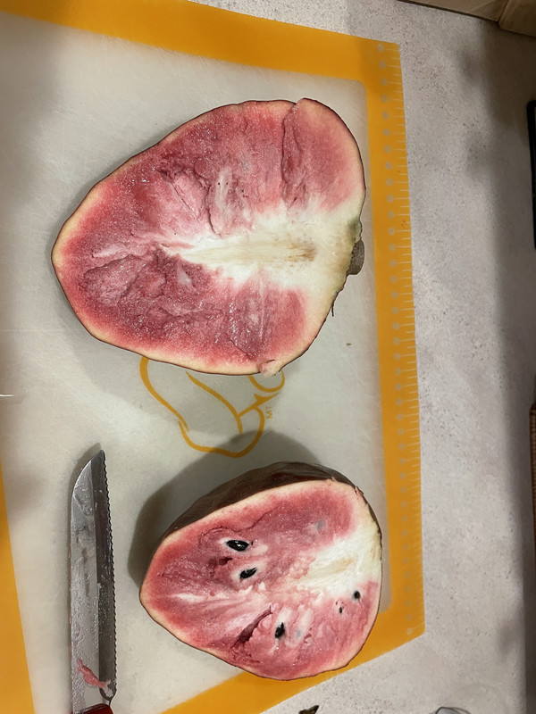 7E8C651E-CAA9-40BD-9B47-E58FBCAAF7AC