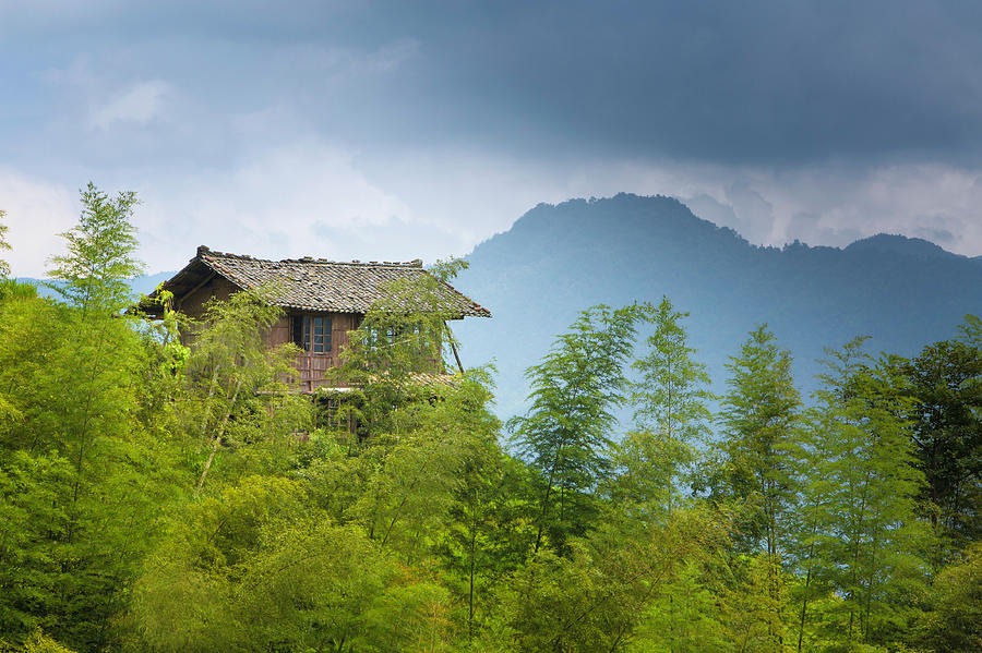 storm-in-chinese-mountain-bamboo-forest-cglade.jpg
