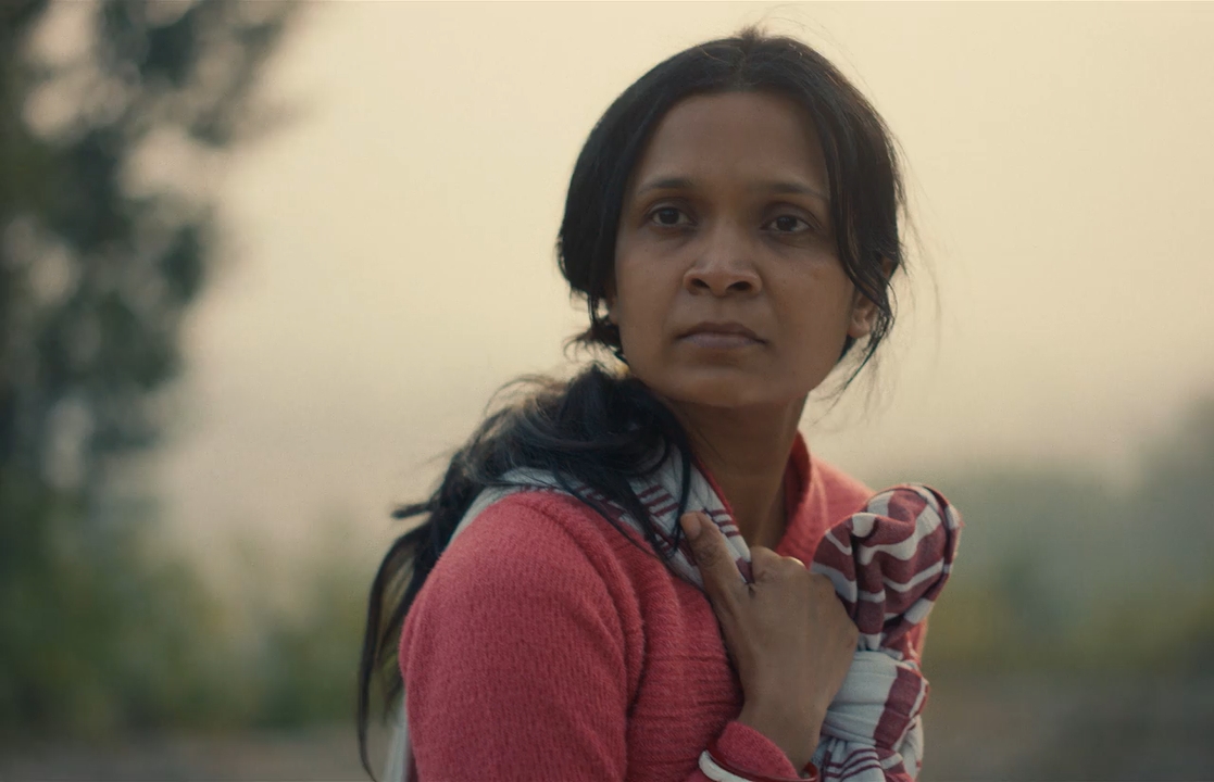 Humans in the Loop 2025 WebRip [Hindi] 480p 720p ESub Screenshot