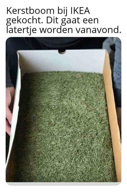 latertje.jpg