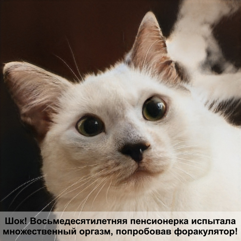 как подстричь кошку в домашних условиях ножницами