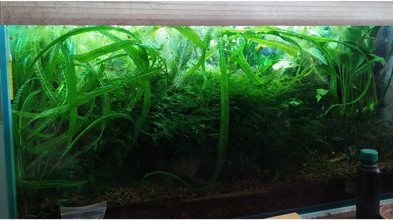 Безымянный