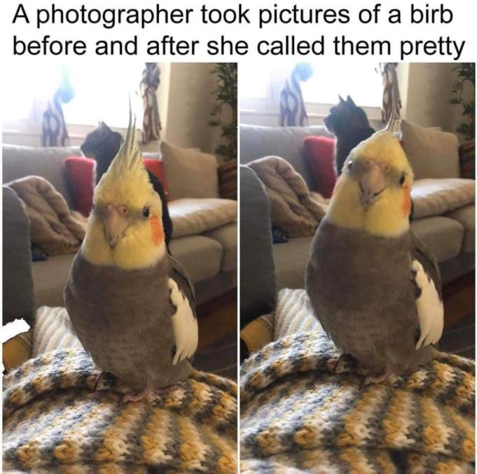 83890455_795765407595182_6476755582232559616_n