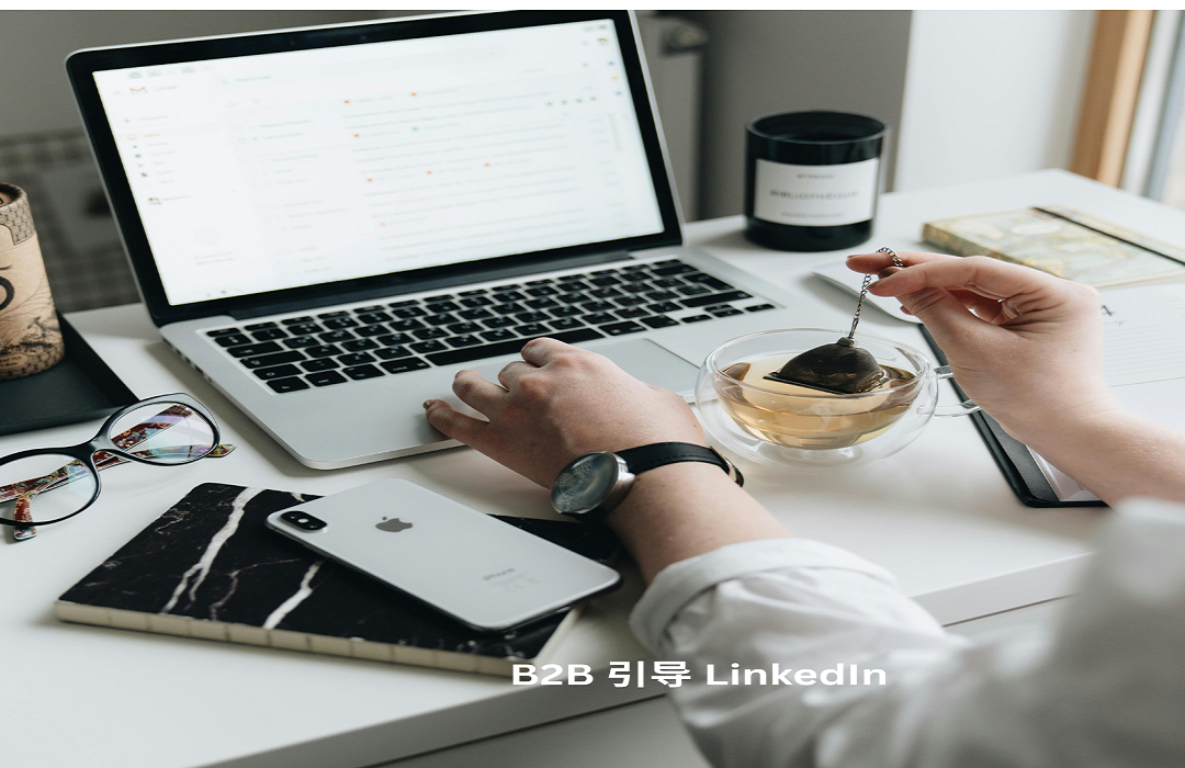 B2B 引导 LinkedIn