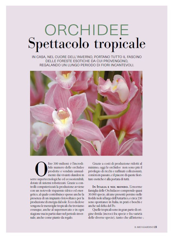 Il Mio Giar Dic 2025 Gen 2026 (6)