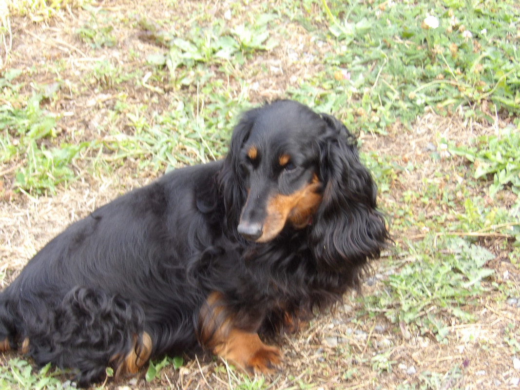 [Image: 125-0050.jpg]