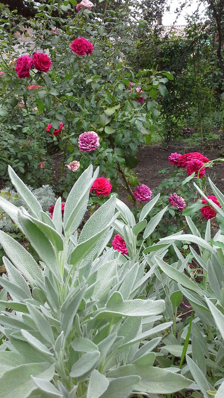 20120205_230057