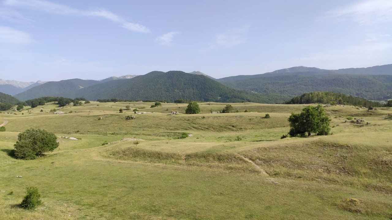 A506A13C-DD19-4AAA-9418-FC43C581EA4F