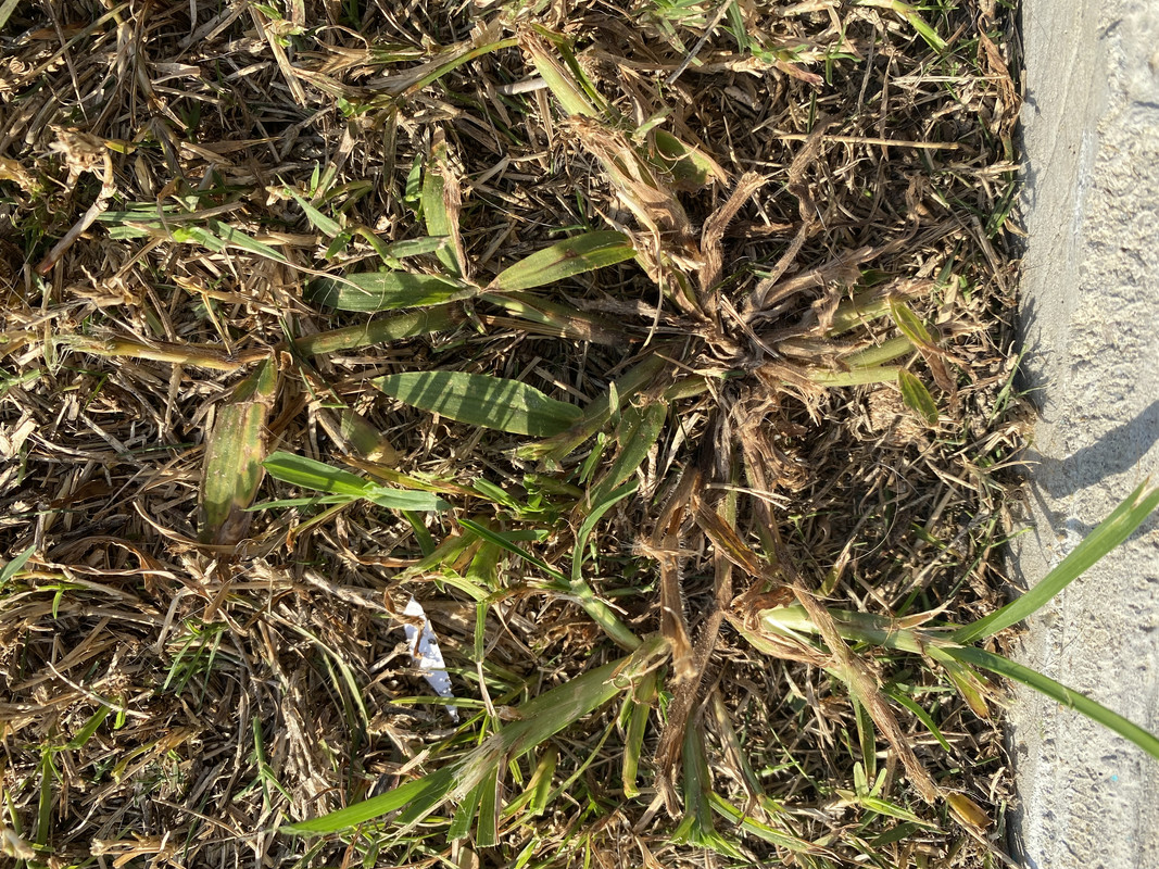 2F90273F-25B5-4190-8A51-97F7AC676762