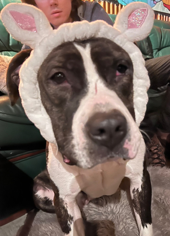 0D4A9120-AB8A-443F-A131-3B0F4D0CF6FE