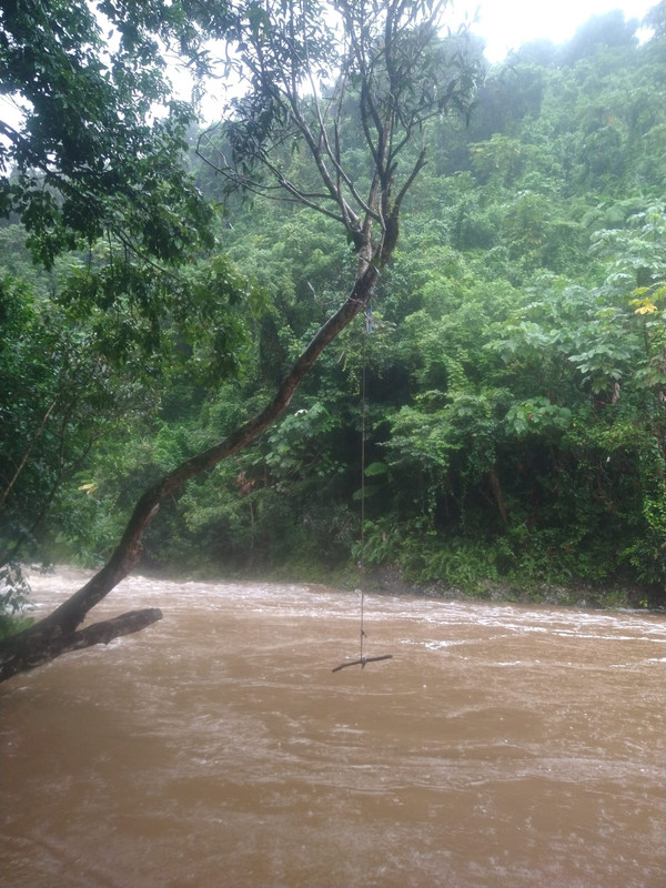 DB34B70E-F1A1-4C95-B265-498016D41D83