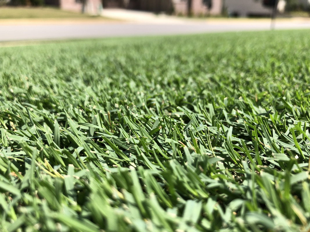 F4CC1F97-0BC9-4E87-B2E1-6CA74C2AF4B7