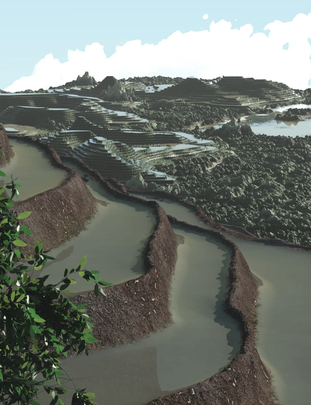 Terraced Fields