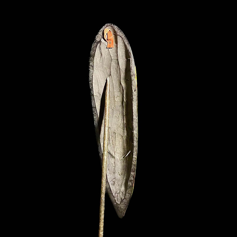 large image 12