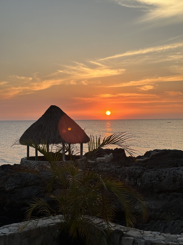 76FB56E8-DF54-48E5-95A4-11FF64A175A9