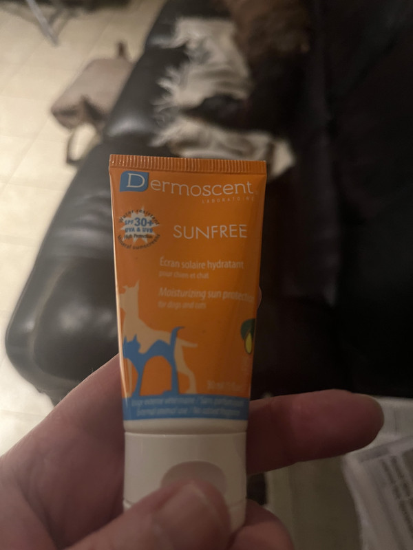 [Image: IMG-7548.jpg]