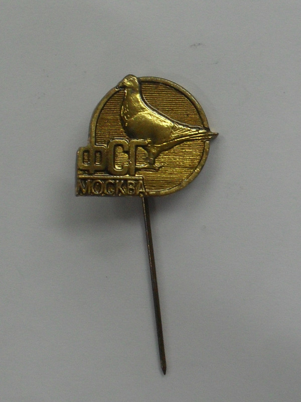 SDC17897