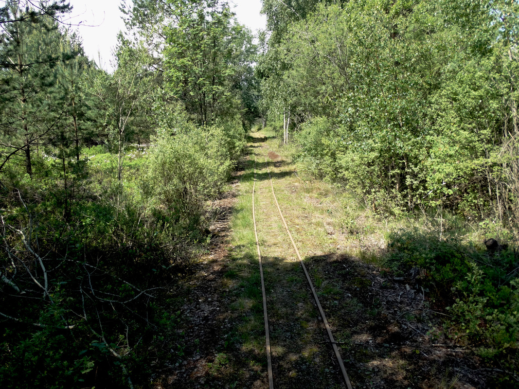 04.08 - DSC08089 (Czesio1)