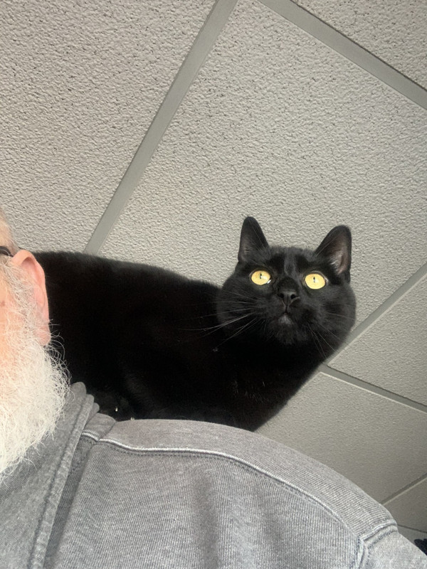 1salem