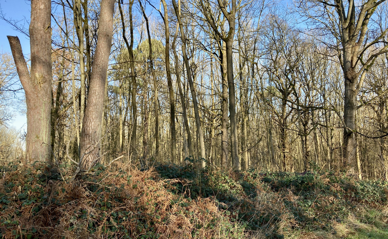 017E73DB-0D9C-4F49-A854-BB6CDDE762A0