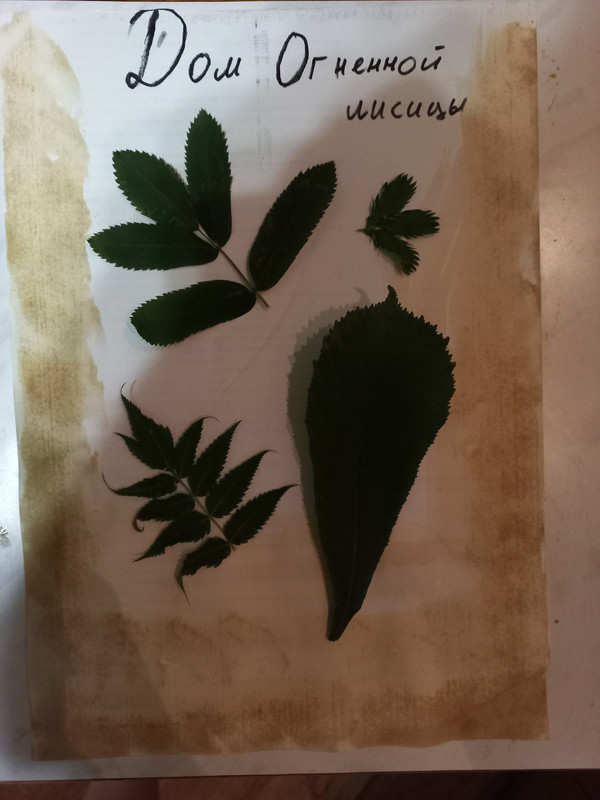 itFWbW8nlE3359j471b5CPsos3IPsmzdw5wbO159bOY9j0dHguSA88EXdI_UB-ZtlrUPglgewJOpusZy-7fbfMZk