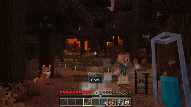 Image 7