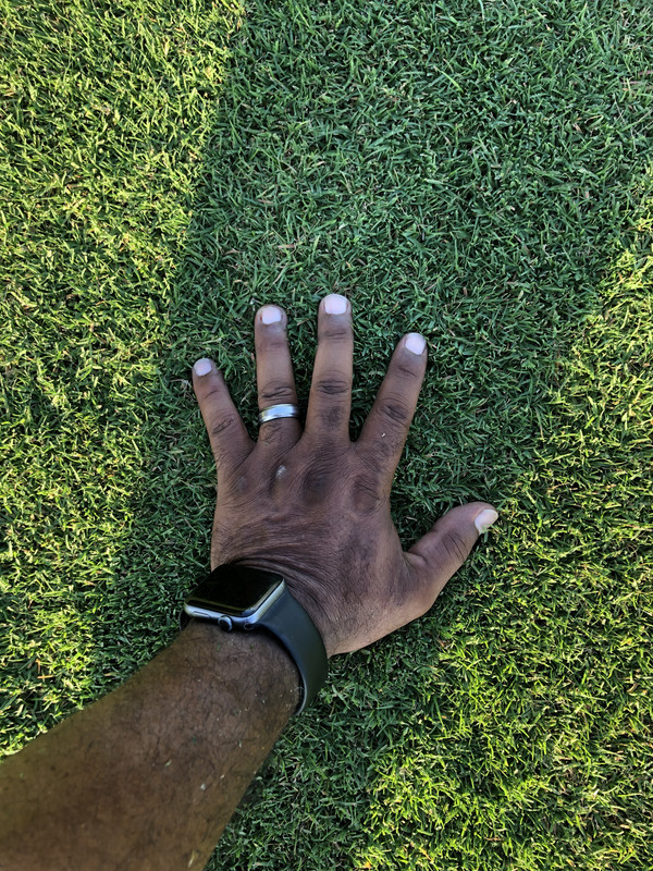 E9AFD007-8719-4BAE-8BE7-2C3356B924D2