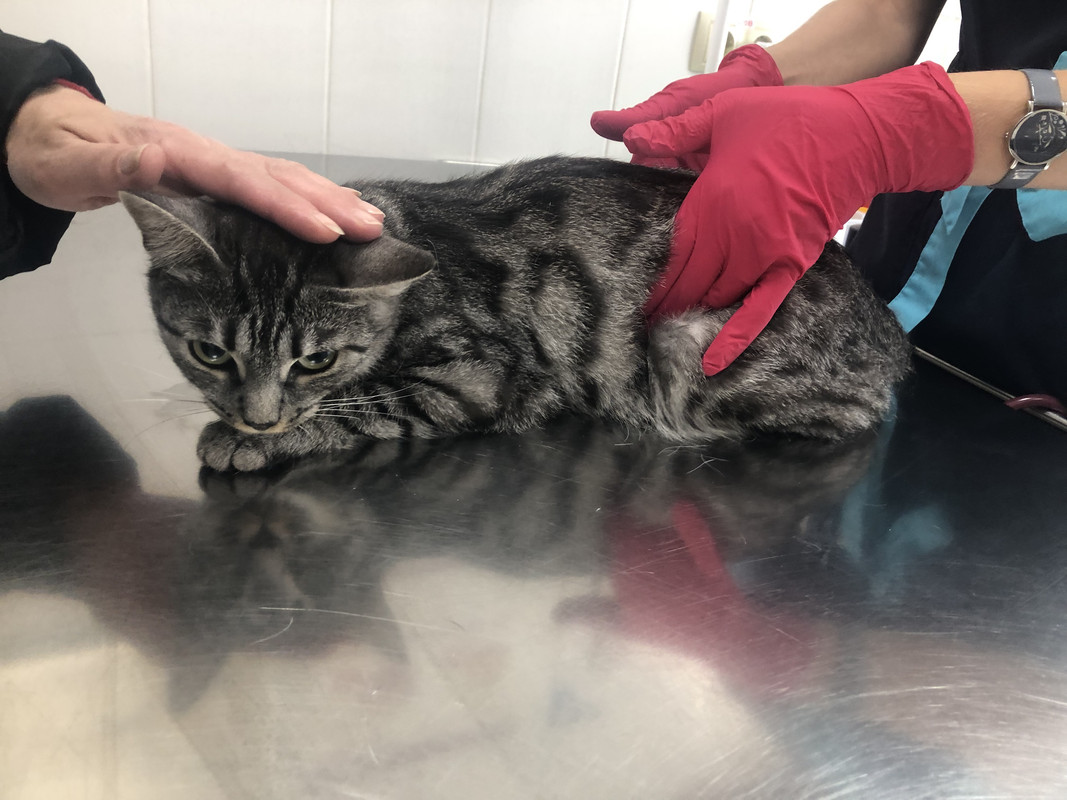 24290587-AB0E-48CA-A857-2F05E70AF5ED