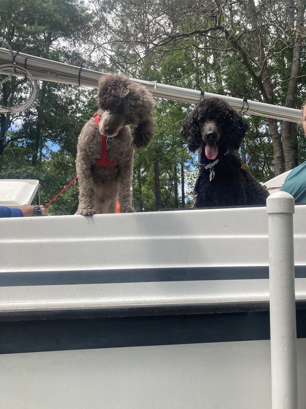 31CE077B-78B8-4E95-A691-1A64F12DFFA9