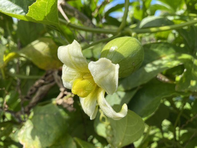 57A2E085-2170-4E7D-A4AB-89F6E6976FEC