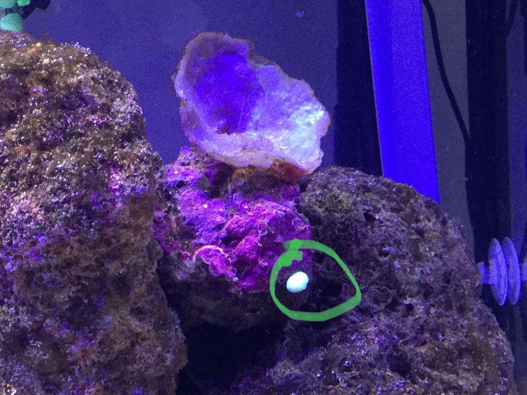 A9635D74-F9C3-4819-A629-4586DE8073FB