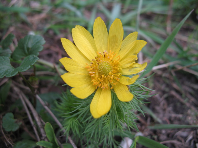 IMG_3396