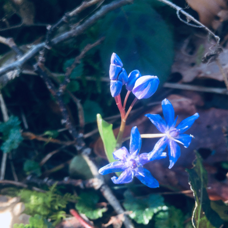 DAD9935B-C9CE-4CFC-96A5-97EDB7F39C2F