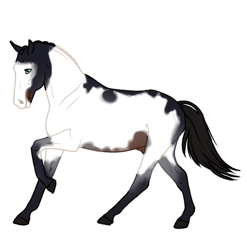 Untitled557-20240519230646.png