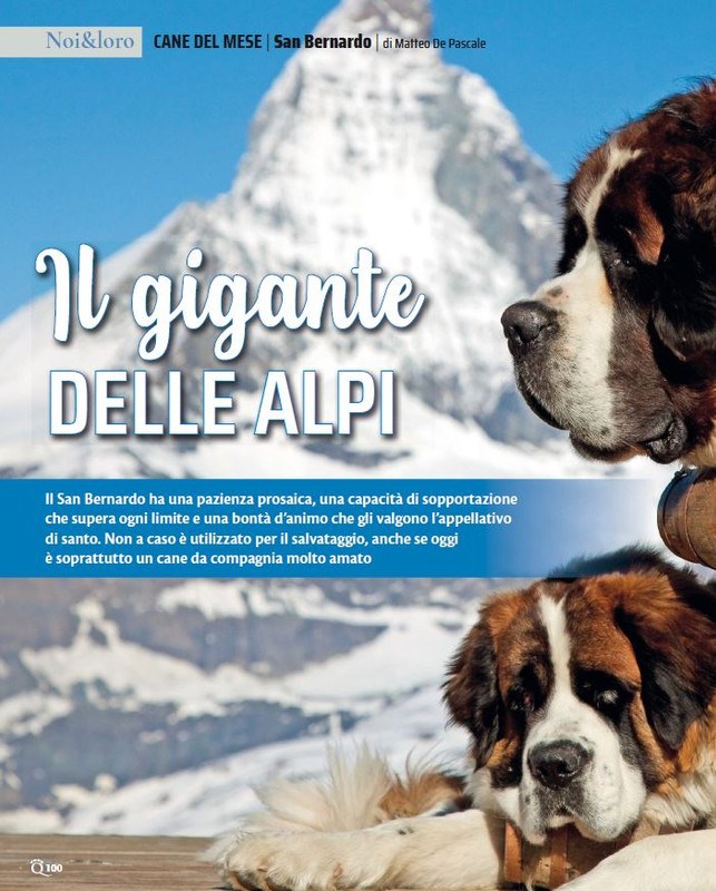 QuattroZampe Feb 2023 (9)