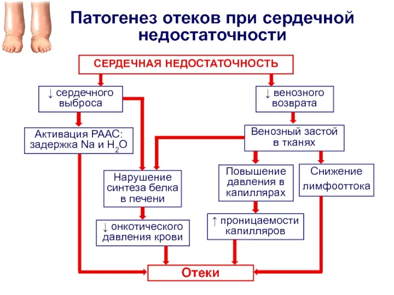 6356202B-90EE-46BF-BF27-6728428AAAED