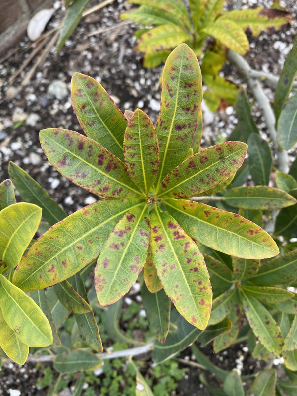 763AE5EF-280F-4F23-A3DF-F1236541CC63